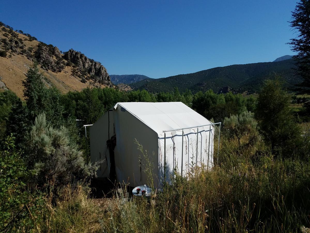 Bristol Cabins لافا هوت سبرينغس المظهر الخارجي الصورة