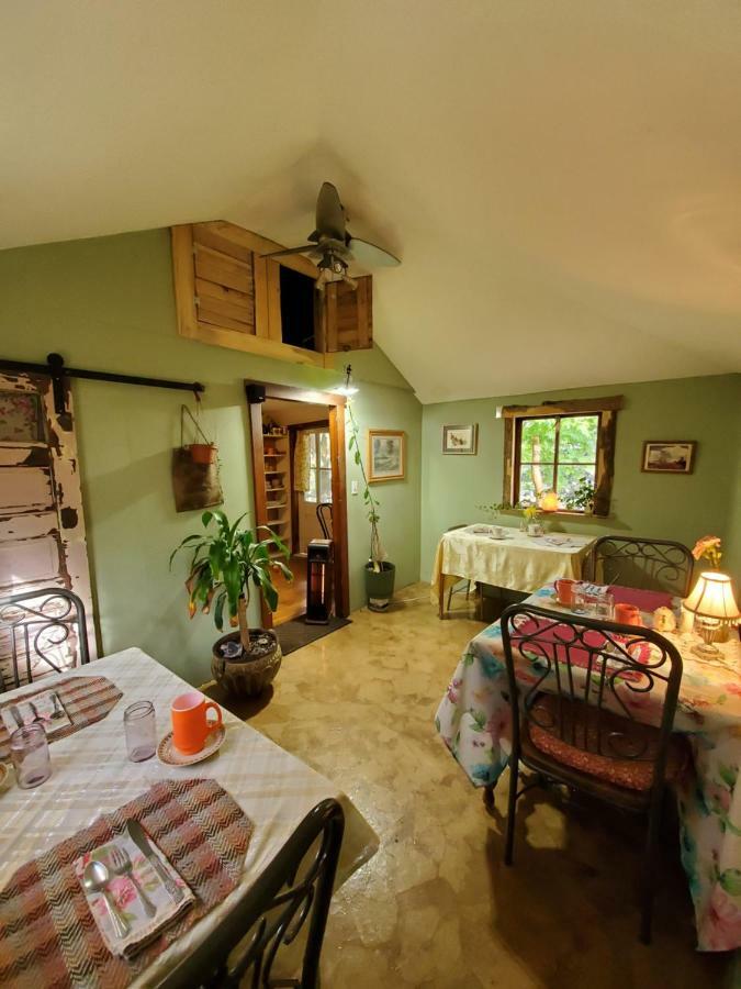 Bristol Cabins لافا هوت سبرينغس المظهر الخارجي الصورة