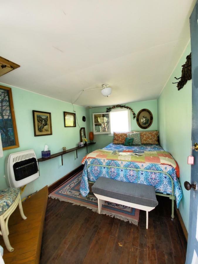 Bristol Cabins لافا هوت سبرينغس المظهر الخارجي الصورة