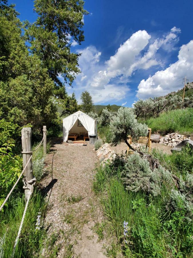 Bristol Cabins لافا هوت سبرينغس المظهر الخارجي الصورة