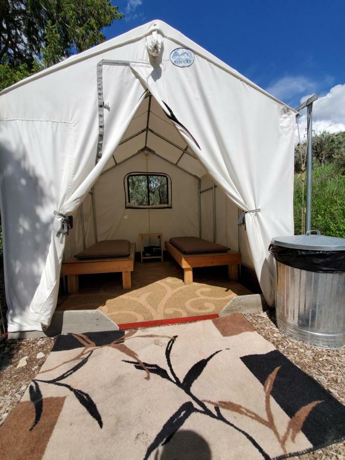 Bristol Cabins لافا هوت سبرينغس المظهر الخارجي الصورة